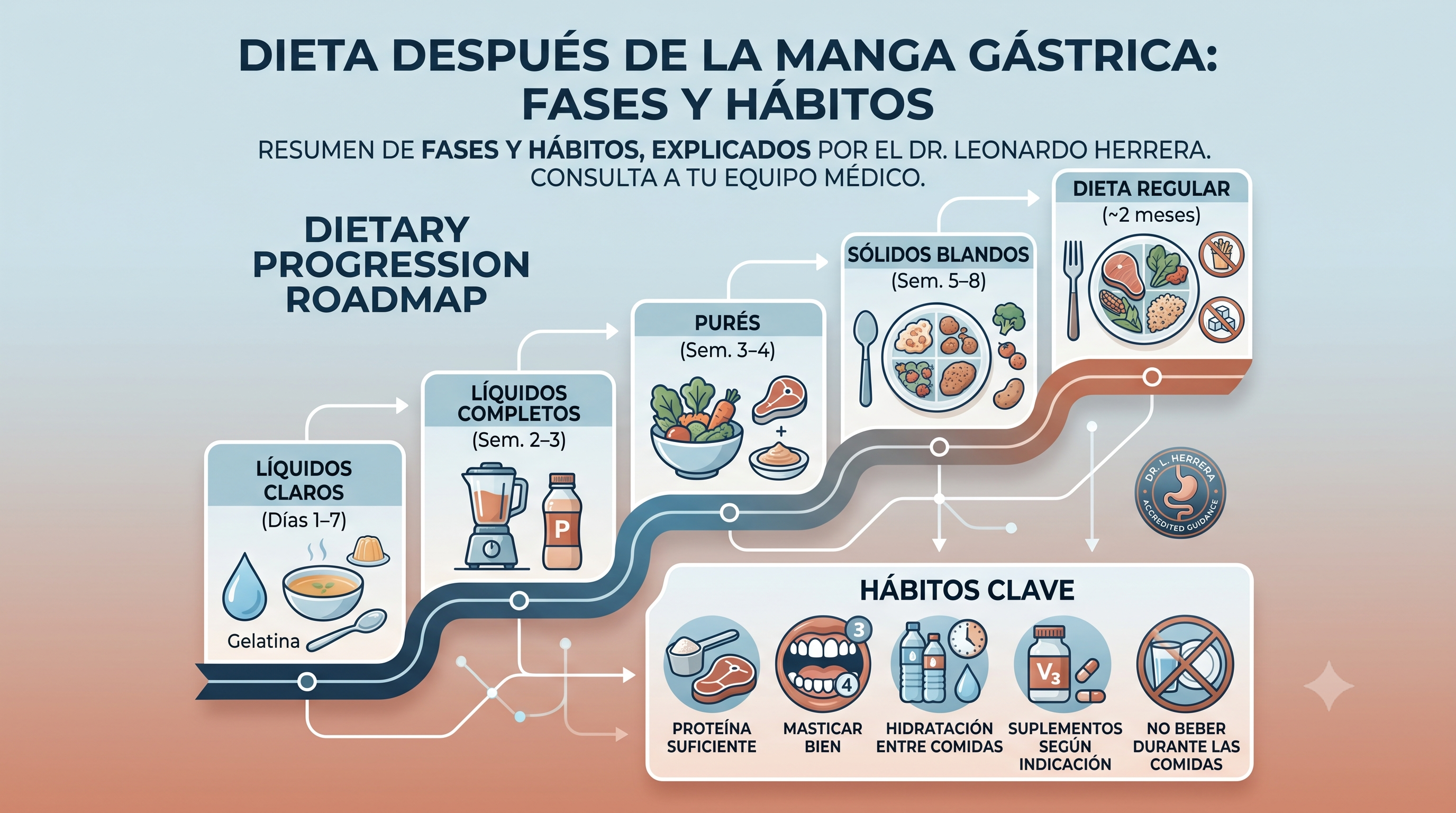Dieta después de la manga gástrica: fases y hábitos